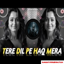 TERE DIL PE HAQ MERA HAI DJ REMIX BASS BOOSTED   NONSTOP REMIX 90's EVERGREEN