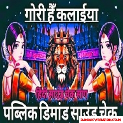 Gori Hai Kalaiya Dj Sarzen Dj Hindi Song  Sound Check RJMVibrationClub